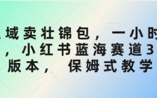 私域卖壮锦包，一小时3张，小红书蓝海赛道3.0版本， 保姆式教学