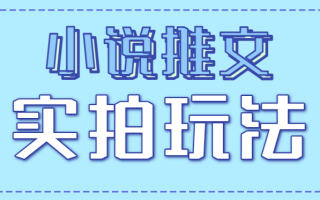 小说推文实拍玩法，零成本零门槛10元/单，轻松月收益万元
