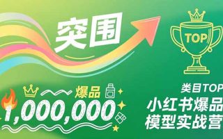 小红书爆品模型实战营，从新品突围到成为类目TOP，可复制路径，打造多个营收百万级爆品