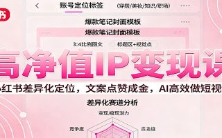 高净值IP变现课：小红书差异化定位，文案点赞成金， AI高效做短视频