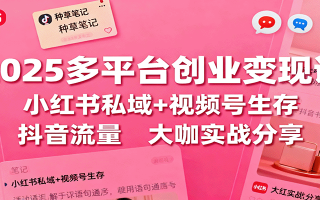 2025多平台创业变现课：小红书私域+视频号生存+抖音流量，大咖实战分享