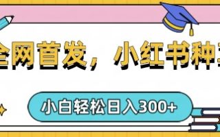 小红书种草，手机项目，日入3张，复制黏贴即可，可矩阵操作，动手不动脑【揭秘】