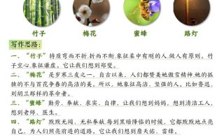 五上语文1-8单元课后小练笔（13页）