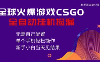 火爆游戏CSGO全自动捡漏，独家最新玩法，单个手机可操作，新手小白日入500+