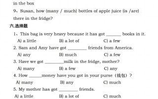六年级下册人教PEP英语重点语法突破专项训（二）数量词填空