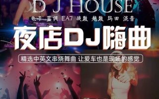 2025新整理夜店蹦迪现场跳舞高清dj视频素材ktv舞曲网红音乐起号