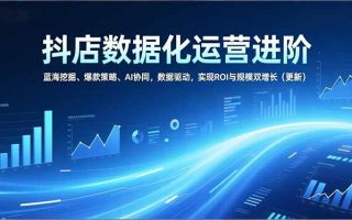 抖店数据化运营进阶，蓝海挖掘、爆款策略、AI协同，数据驱动，实现ROI与规模双增长(更新