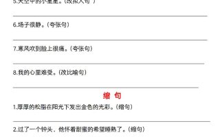 六年级下语文六大句型期中考点专项