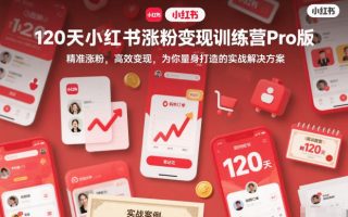 120天小红书涨粉变现训练营Pro版，​精准涨粉，高效变现​，为你量身打造的实战解决方案