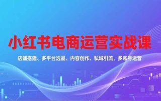 小红书电商运营实战课，店铺搭建、多平台选品、内容创作、私域引流、多账号运营等玩法
