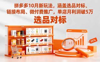 拼多多10月新玩法，涵盖选品对标、链接布局、微付费推广，单店月利润破5万