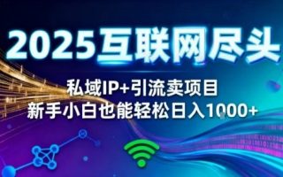 2025网创尽头王炸项目！私域IP+精准引流，新手小白在家躺賺日入1k，零经验也能上手【揭秘】