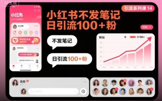 引流系列课14：小红书不发笔记日引流100+粉