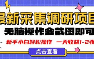 新版采集调研项目，截图上传即可，无脑操作，日收益1-2张