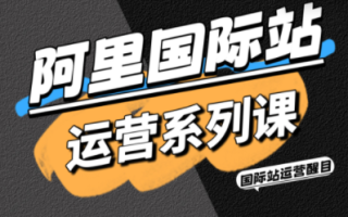 醒目老师·阿里国际站运营系列课(更新11月)