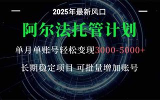 阿尔法托管计划 单账号月入3000-5000，长期稳定项目，新手小白轻松上手。