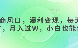 女杏商风口，瀑利变现，每天1小时，月入过W，小白也能做
