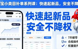 淘宝小类目补单系列课，快速起新品，安全不降权