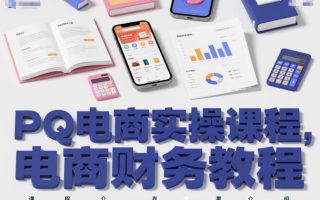 PQ电商实操课程，电商财务教程