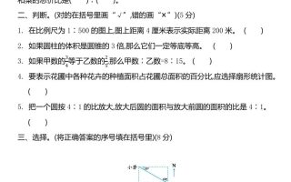 六下苏教版数学期中测试卷-2
