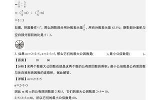 小升初数学终极冲刺20天（1-5天冲刺打卡）（答案解析版）