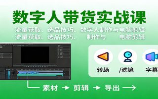 数字人变现实战课：流量获取、选品技巧、数字人制作与电脑剪辑