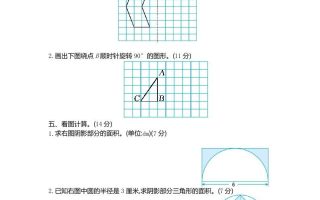 六下青岛63版数学期末图形与几何专项检测卷（2）