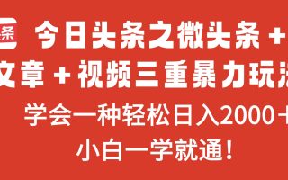 今日头条之微头条＋文章＋视频三重暴力玩法，学会一种轻松日入2000＋，…