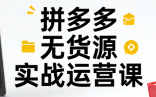 子枫老师·拼多多无货源实战运营课(更新12月)