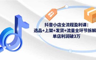 抖音小店全流程盈利课：选品+上架+发货+流量全环节拆解，单店利润破3万