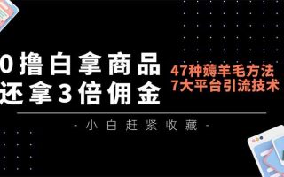 0撸白拿商品，还拿3倍佣金，47种薅羊毛方法，7大平台全方位引流技术教学，精专月入过万