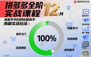拼多多全阶实战课程12月，从新手小白到运营高手，海量实战玩法