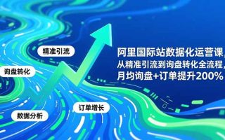 阿里国际站数据化运营课-11月，从精准引流到询盘转化全流程，月均询盘+订单提升200%