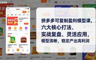 拼多多可复制盈利模型课，六大核心打法、实战复盘、灵活应用，模型清晰，稳定产出高利润