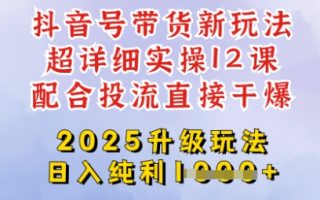 2025全新升级抖音带货玩法，一天纯利四位数，从剪辑到选品再到发布投流，超详细玩法揭秘