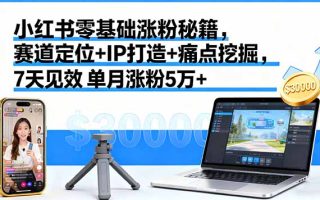 小红书零基础涨粉秘籍，赛道定位+IP打造+痛点挖掘，7天见效 单月涨粉5万+