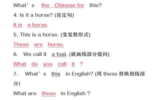 【2025秋新版】六年级上册英语必考句型转换