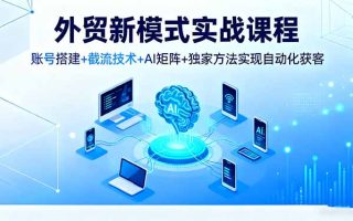 外贸新模式实战课程，账号搭建+截流技术+AI矩阵+独家方法实现自动化获客