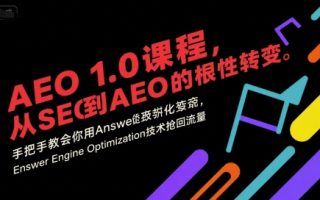 AEO 1.0 课程，从SEO到AE0的基命性转变，手把手教会你用AnswerEngineOptimization技术抢回流量(更新)