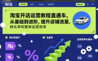 淘宝开店运营教程直通车，从基础到进阶，提升店铺流量，转化率和整体运营效率(更新11月)