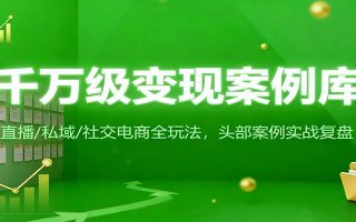 千万级变现案例库：直播/私域/社交电商全玩法，200+头部案例实战复盘