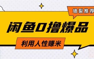 咸鱼0撸玩法利用人性售卖商品达到日挣2张的效果