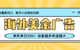 最新蓝海项目，海外美金广告，单机单日500+，可矩阵放大，设备越多收益越大