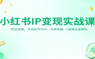 小红书IP变现实战课：定位搭建，光速起号SOP，文案拍摄，0基础也能赚钱
