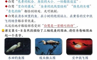 五年级上册语文课后练习题参考答案23页