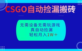 CSGO自动捡漏搬砖，当天操作当天见结果，无需了解游戏，包教包会包落地