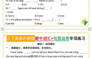 三下英语外研版期中词汇+句型运用专项