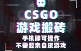 CSGO游戏挂G捡漏，单日扫货5张+，年底小高峰上车可吃肉，手机即可操作，兼职副业创业网创【揭秘】