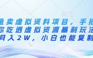 闲鱼卖虚拟资料项目，手把手带你吃透虚拟资源暴利玩法，月入2W，小白也能复制