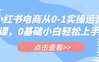 小红书电商从0-1实操运营课，0基础小白轻松上手